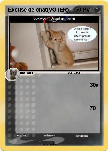 Pokemon Excuse de chat(VOTER)