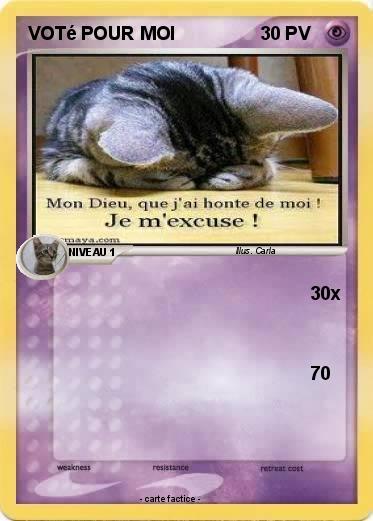 Pokemon VOTé POUR MOI