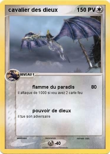 Pokemon cavalier des dieux