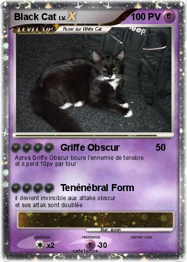 Pokemon Black Cat