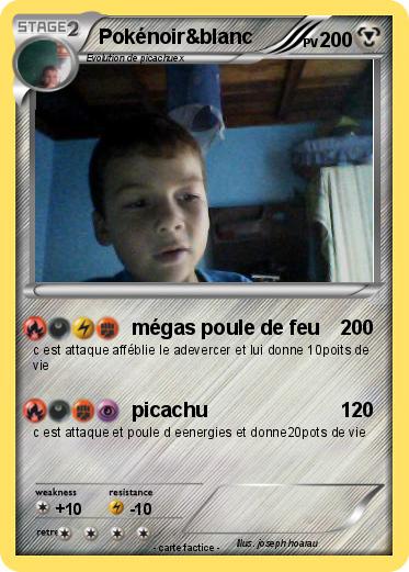 Pokemon Pokénoir&blanc