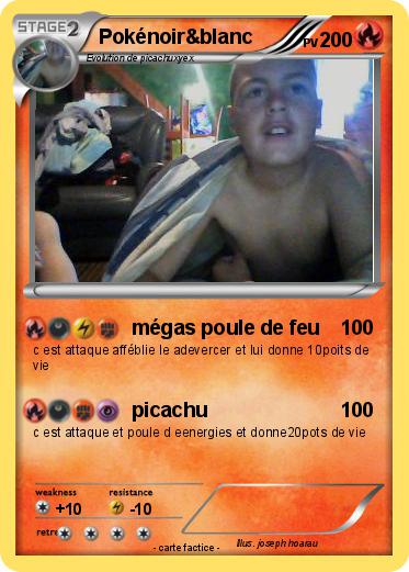 Pokemon Pokénoir&blanc