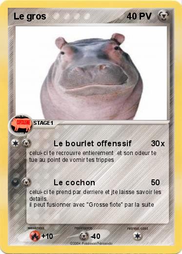 Pokemon Le gros