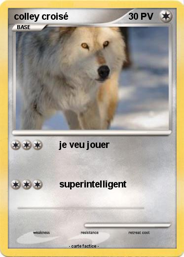 Pokemon colley croisé