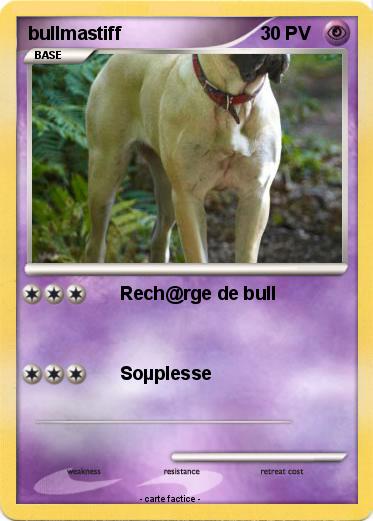 Pokemon bullmastiff