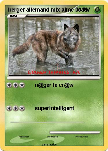 Pokemon berger allemand mix aime l'eau