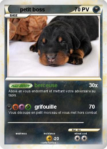 Pokemon petit boss