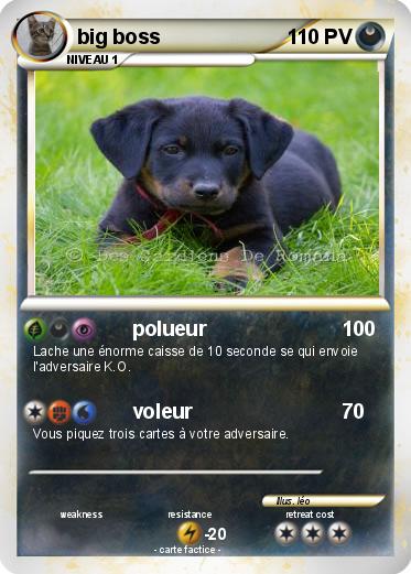 Pokemon big boss