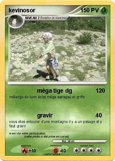 Pokemon kevinosor