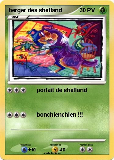 Pokemon berger des shetland