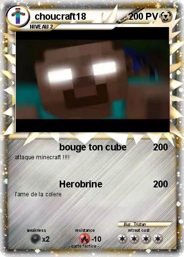 Pokemon choucraft18