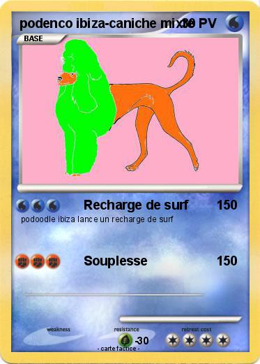 Pokemon podenco ibiza-caniche mixte