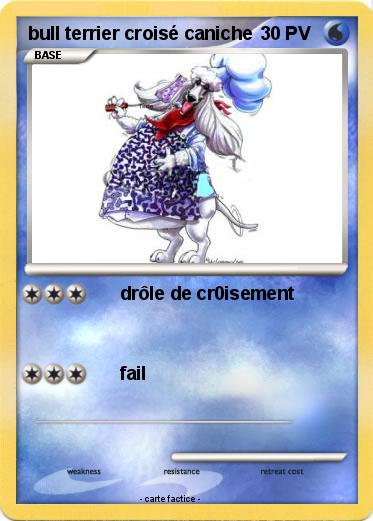 Pokemon bull terrier croisé caniche
