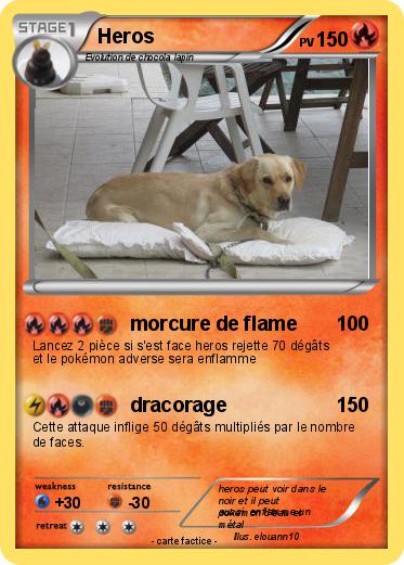 Pokemon Heros