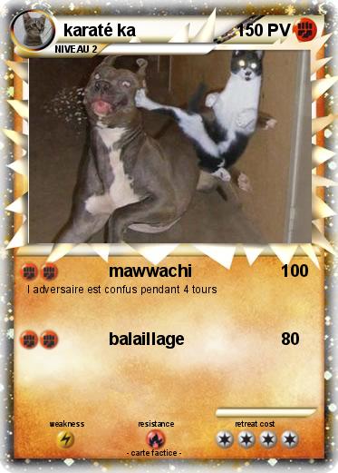 Pokemon karaté ka