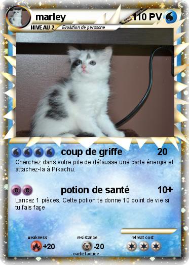 Pokemon marley
