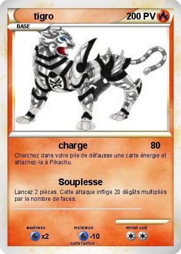 Pokemon tigro