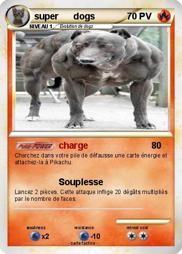 Pokemon super      dogs