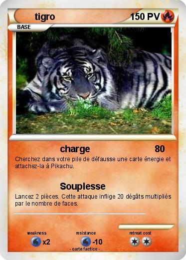 Pokemon tigro