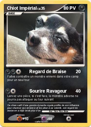 Pokemon Chiot Impérial