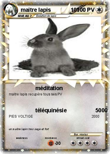 Pokemon maitre lapis             10000
