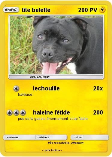 Pokemon tite belette