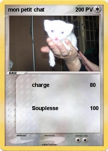 Pokemon mon petit chat