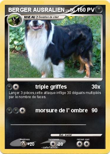 Pokemon BERGER AUSRALIEN