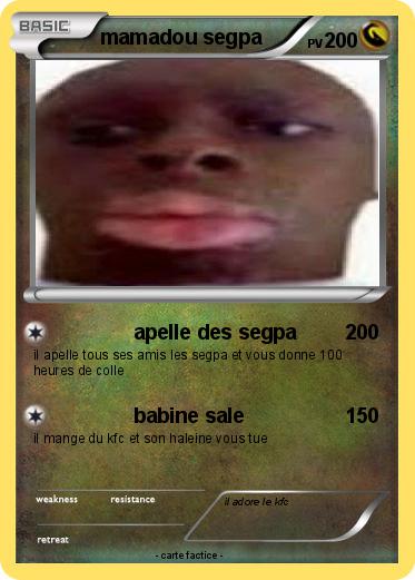 Pokemon mamadou segpa