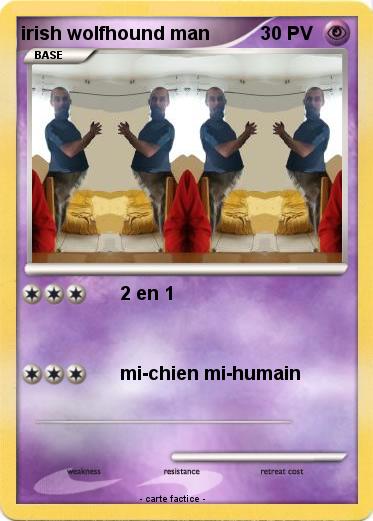 Pokemon irish wolfhound man