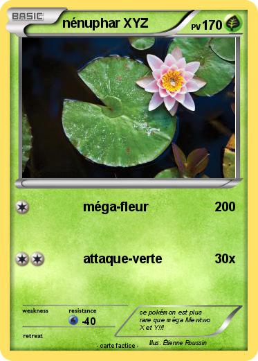 Pokemon nénuphar XYZ