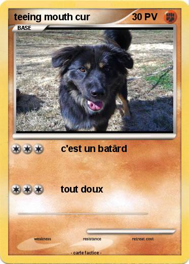 Pokemon teeing mouth cur