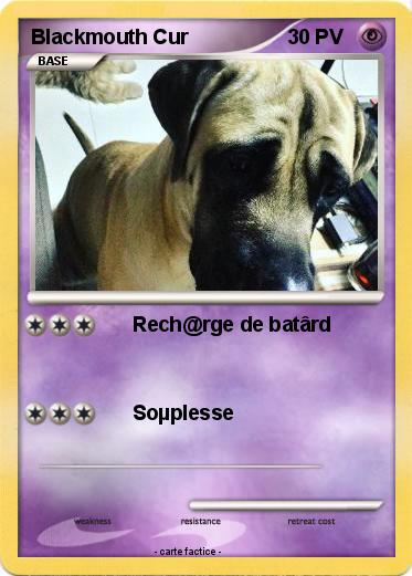 Pokemon Blackmouth Cur