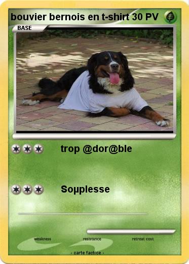 Pokemon bouvier bernois en t-shirt