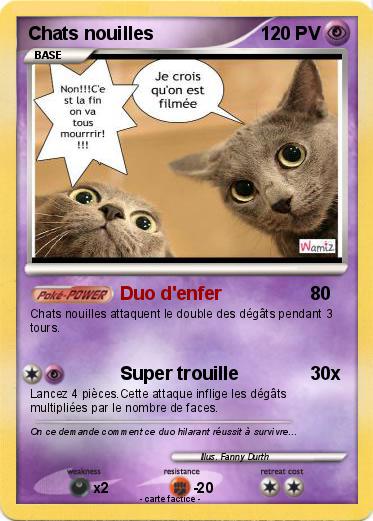 Pokemon Chats nouilles