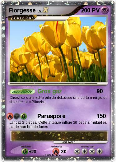 Pokemon Florgesse