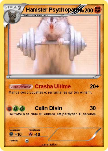 Pokemon Hamster Psychopathe
