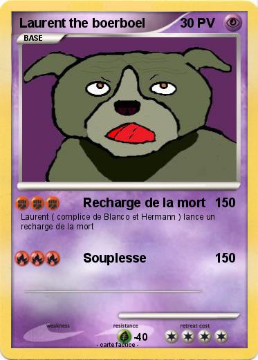 Pokemon Laurent the boerboel