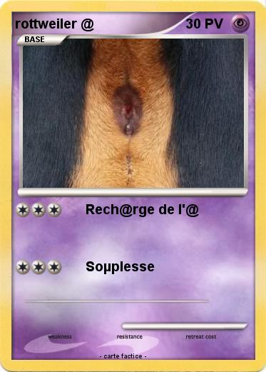 Pokemon rottweiler @
