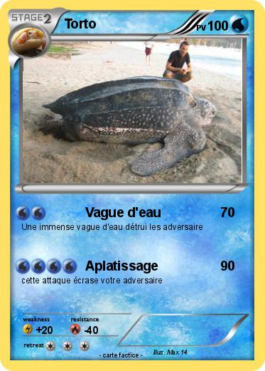 Pokemon Torto