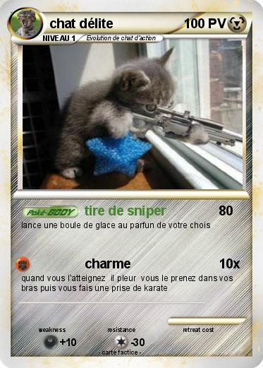 Pokemon chat délite