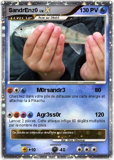 Pokemon SandrEnz0