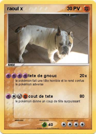 Pokemon raoul x