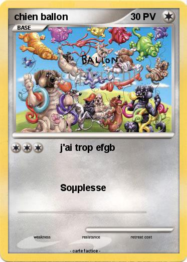 Pokemon chien ballon
