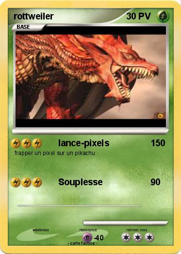 Pokemon rottweiler
