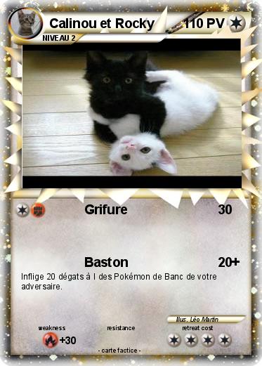 Pokemon Calinou et Rocky