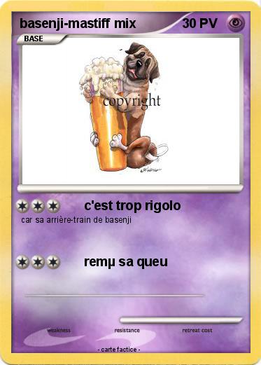 Pokemon basenji-mastiff mix