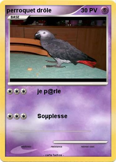 Pokemon perroquet drôle