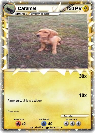 Pokemon Caramel