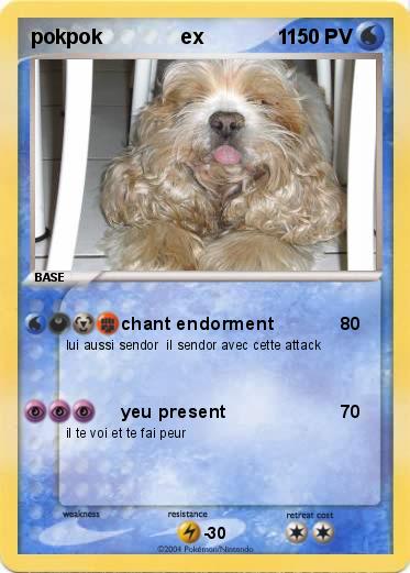 Pokemon pokpok              ex             1